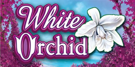 play white orchid